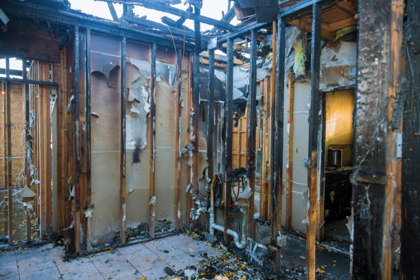 Professional Fire Damage Removal technician working in South Weber, UT